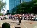 videos de halifax festival