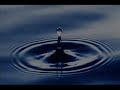 Food Shortages from  2009  - Water Shortages and the Future - Current research-  Part 1