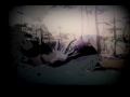 Stephen Brown video 2