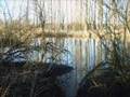 sessions und landschaftsbilder
