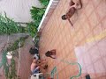 VAYA PEDAZO DE LECHE !!!