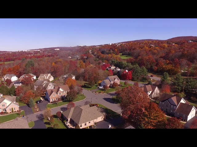 Fitzgerald Drive