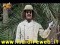 [Mai Dire Domenica] 3� puntata: Il Gurzo del Borneo Meridionale e la sua vita sessuale