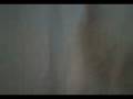 videos de gato ridiculo mamon