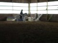 So Far So Good - Short Stirrup Pony For Lease