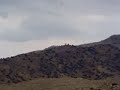 Special Forces and Apache Vs Taliban Special Forces and Apache Vs Taliban