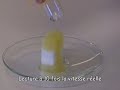 chimie experience acide sulfurique sucre mentos coca