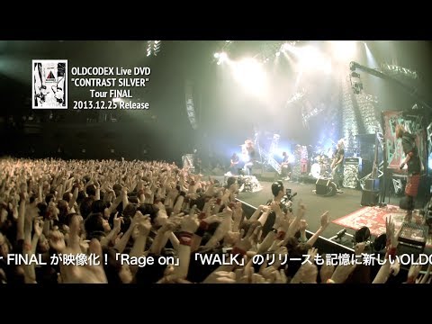 dvd - 待望の