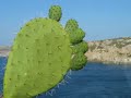 Fotografie della Valle Della Luna e Dintorni
