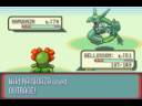 Pokemon Ruby Catching Rayquaza