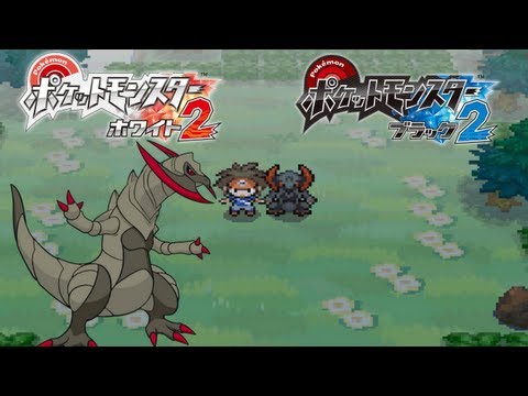 pokemon black pokemon black