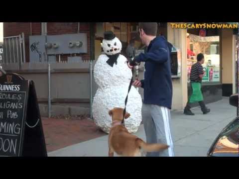 Funny Puppy Dog Prank - Just for Laughs