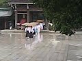 漫遊 明治神宮  2