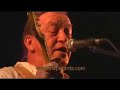 The Petards - Babyman
