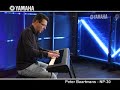 Peter Baartmans and the Yamaha NP30 Peter Baartmans and the Yamaha NP30
