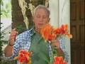 Bloomin in the Garden