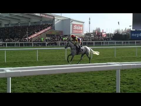 paddy power cheltenham