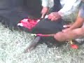 Eid Ul Adha sacrifice