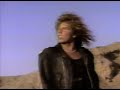 the video 