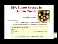 Tumor Viruses - Types, Effects and Related Diseases