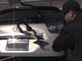 San Diego Paintless Dent Removal - Auto Dent Repair PDR