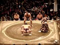 sumo 2