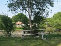 dash vualt across a picnic table