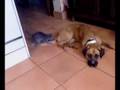 Liloo et Saian