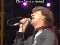 Those Nervous Animals - My Friend John