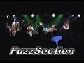fuzzsection