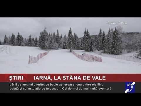Iarnă, la Stâna de Vale