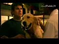 Publicidad de Clarín/ Campeonato de Truco - Perritos Monos Publicidad de Clarín/ Campeonato de Truco - Perritos Monos