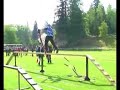 Koldy - obvodovka 08(stovky)