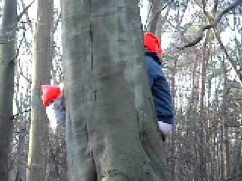 Youtube Video 5kIpSjuZ7x8