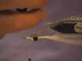 How to tie a clouser part 2