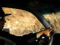 videos de 081201 1