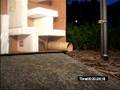 videos de Bye Mousey!