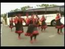 Treacle Eater Clog - Venga Bus Party
