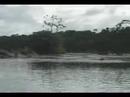 Suriname : Coeroeni to Arapahu Island, Part 4 Suriname : Coeroeni to Arapahu Island, Part 4