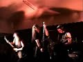 Insighter - Carcass Cover - Death Certificate