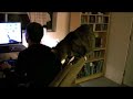 Canon HG10 AVCHD Camcorder Video