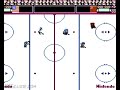 nesguide.com - ice hockey. published by nintendo, 1988. captured from an actual nes console and cartridge.