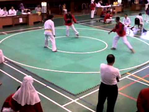 bbw fight