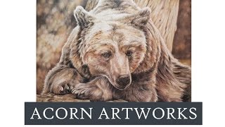 Grizzly Bear in Coloured Pencil (Full Tutorial)