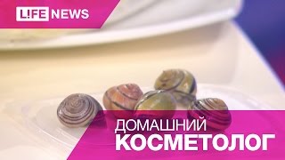 Улиткотерапия в LifeNews