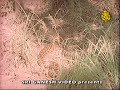 bettada tudiyalli [Kakana Kote]
