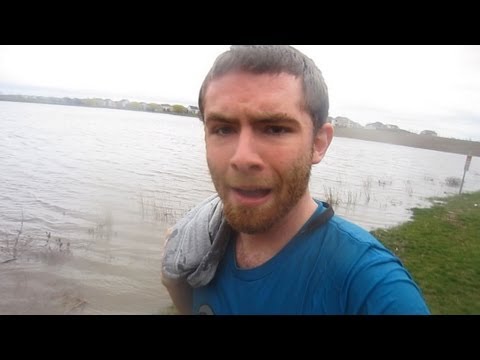 FLOOD WATER DOLPHIN DIVE