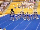 Westside Cougars Senior Large Level 4