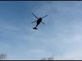 Black Hawk flight
