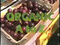 Organic A to Z EGGPLANT